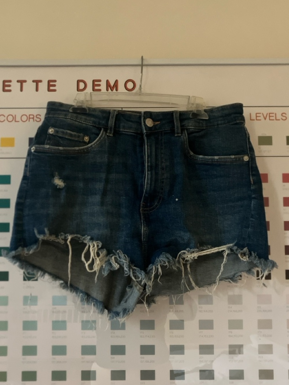 Zara Jean Shorts Sz 8